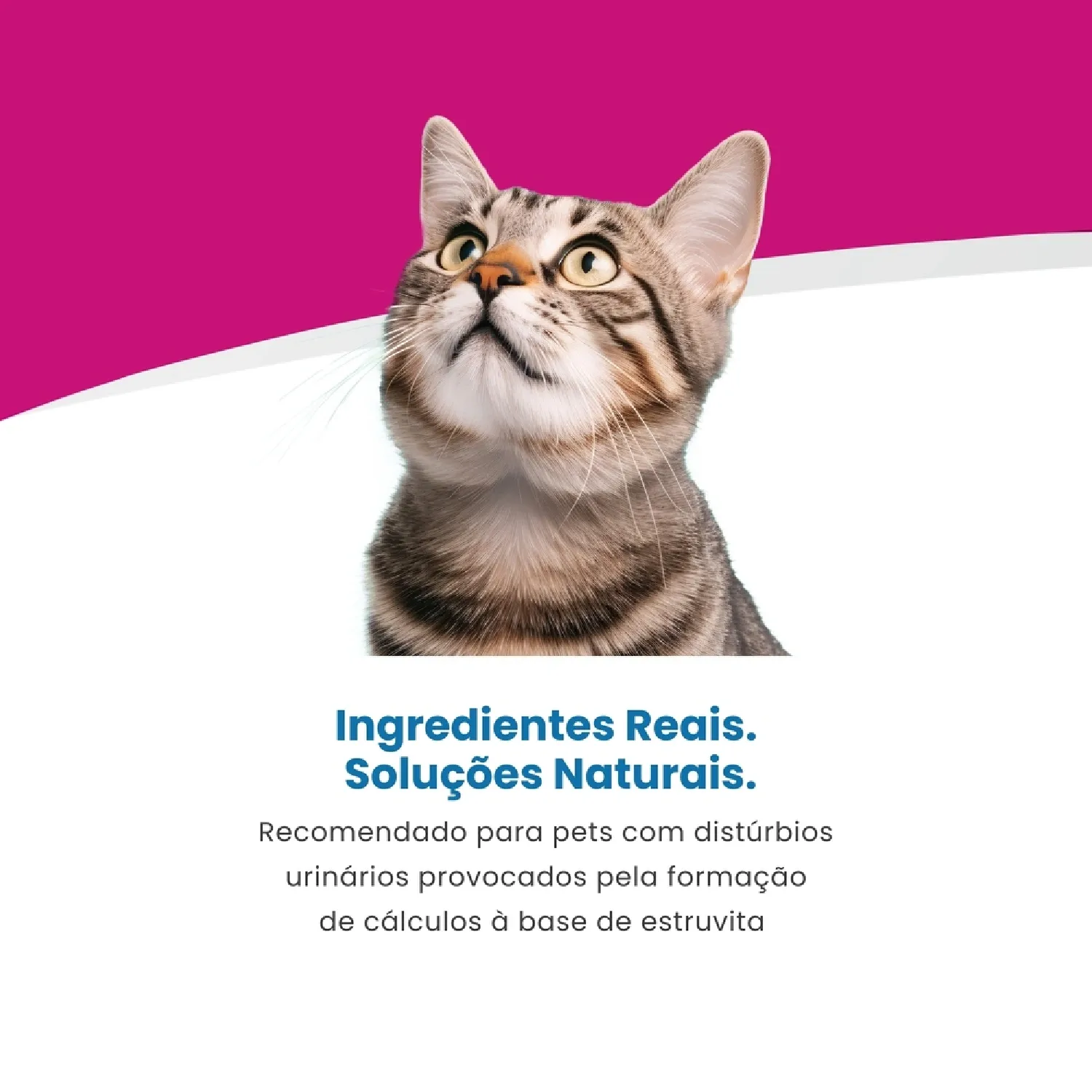 Racao Umida Para Gato Calculos Urinarios Vet Life 4